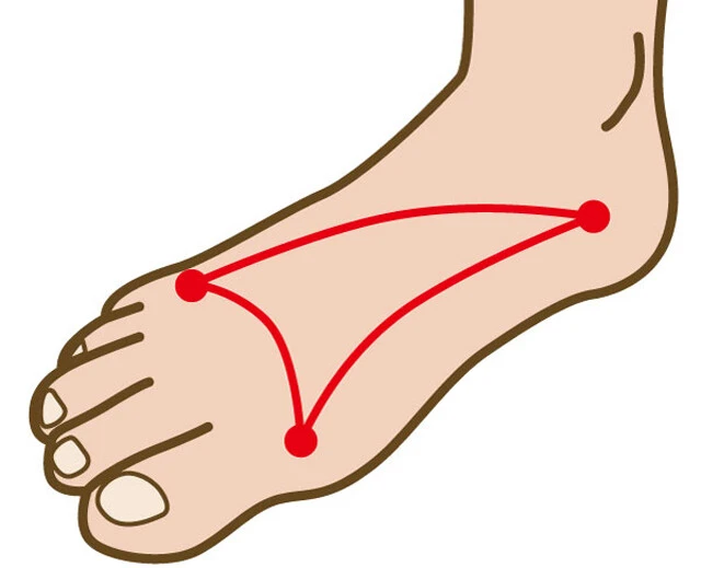 足の3つのアーチ。歩行の衝撃を吸収して関節への負荷を軽減したり、蹴りだすサポートをしたりと、さまざまな役割を担う