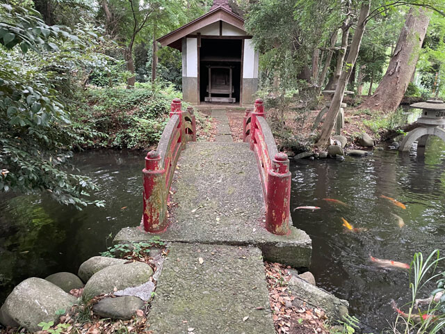 無量光寺の奥にひっそりとたたずむのが弁天池と弁財天の祠。橋を渡ろうとするとコイが近くに寄ってくる