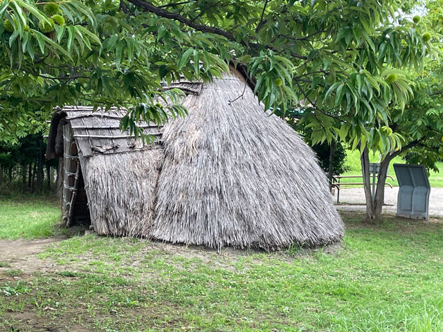 旧石器時代の住居跡がある田名向原遺跡公園。写真は縄文時代の竪穴住居を復元したもの