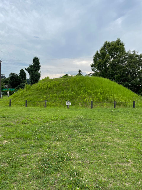 田名向原遺跡公園にある古墳時代の小円墳の移築古墳。古くからこの辺りに人の集落があった