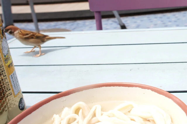 動きがすばやくてうまく撮れてませんが