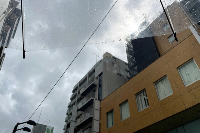 傘を買ったのに