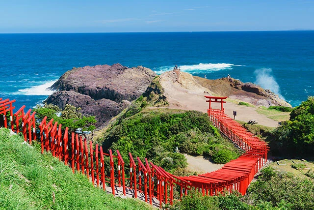 海岸沿いの絶壁にある元乃隅神社。1955年に白キツネのお告げによって建立されたという。鳥居の数は123基。絶景スポットとして有名