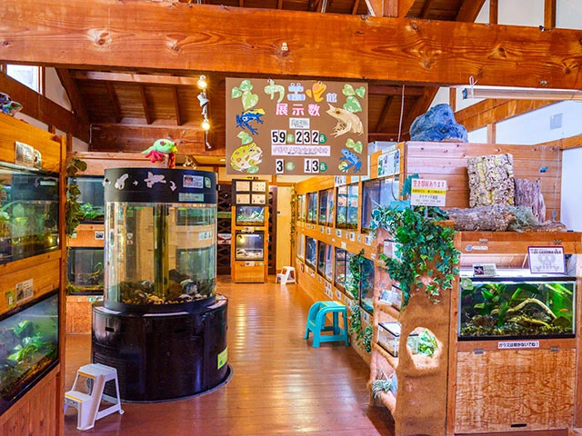 あわしまマリンパーク