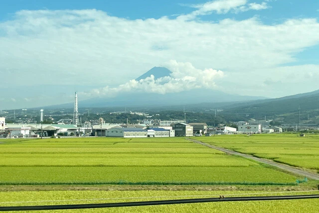 富士山を眺めて喜んだりしつつ