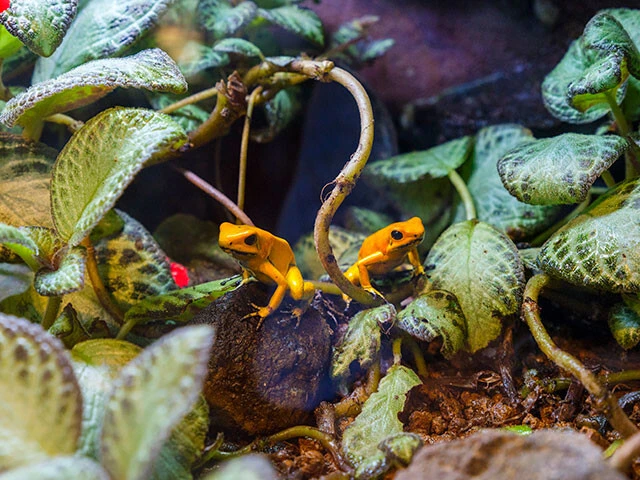 あわしまマリンパーク