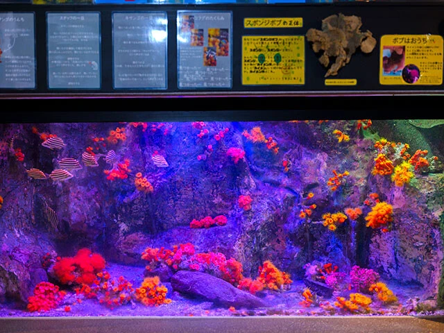 あわしまマリンパーク