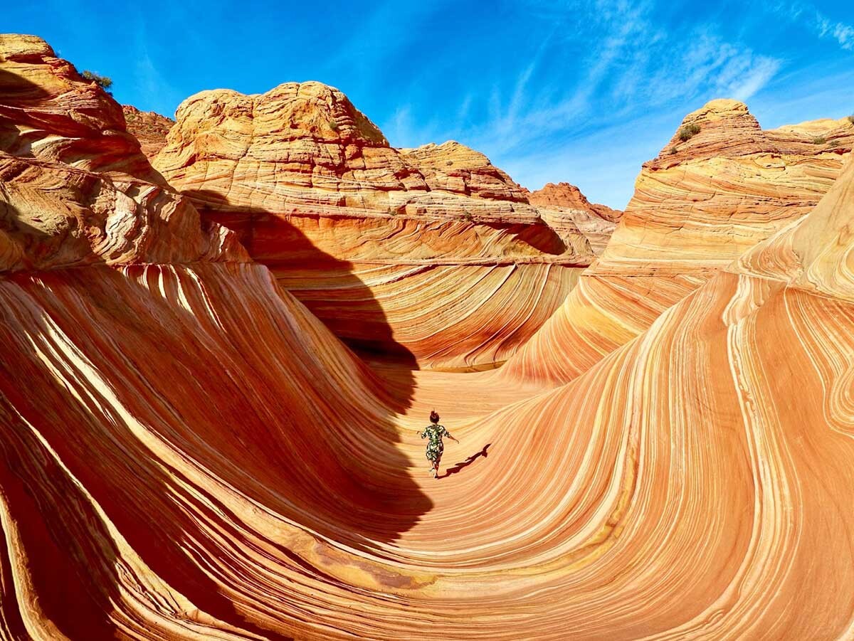 みんな10年間ありがとう！　さようなら～！（ザ・ウェーブ／アメリカ）