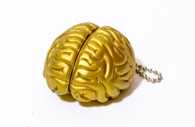 『トリビアの泉』投稿者の憧れだった「金の脳」のアイテム！【山下メロの平成レトロ遺産：083】