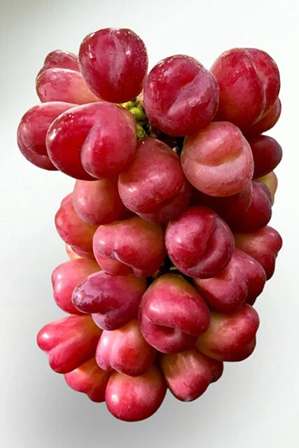 【マイハート】おいしいけど商品化は厳しいと考えていたところ、研究所を訪れた女性の「ハート形でかわいい」のひと言で商品化が決まった変わり種