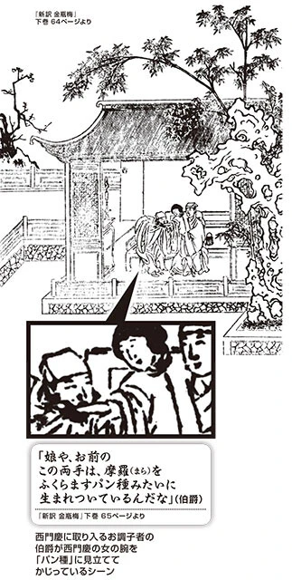 Amazon.com: 金瓶梅: 上册(Chinese Edition): 9781006745973
