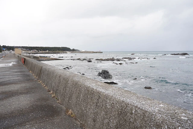時おり鳥の鳴き声が聞こえる海。さみしい……