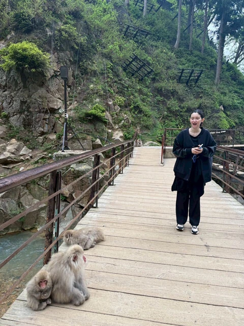 長野県山ノ内町に行ったときに遭遇した猿たち、圧巻でした