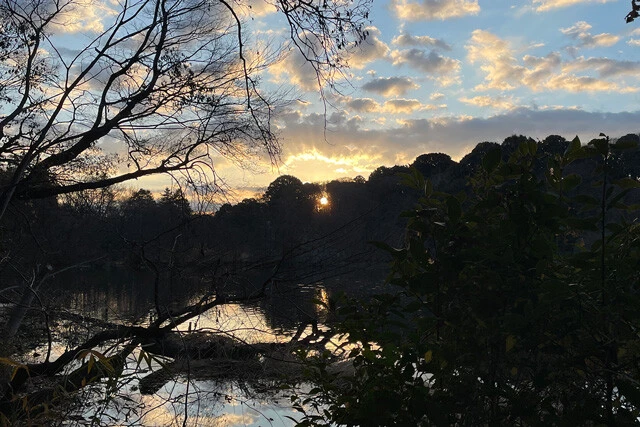 練馬区の初日の出