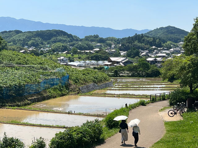 明日香村には日本の農村の原風景のような光景が広がる