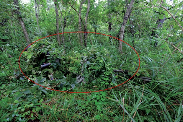 偽装（カムフラージュ）を施した狙撃手と観測手（敵の位置を特定し照準を助ける役）は、カメレオンのように周囲の草木に溶け込んだ