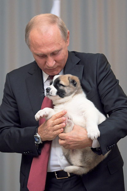 愛犬家のプーチン大統領が子犬をプレゼントされるも その持ち方 ダメ ゼッタイ 政治 国際 ニュース 週プレnews 週刊プレイボーイのニュースサイト