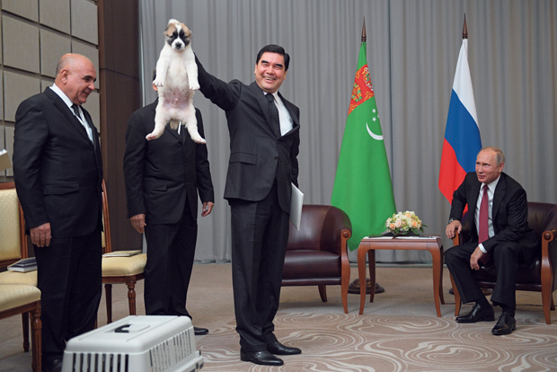 愛犬家のプーチン大統領が子犬をプレゼントされるも その持ち方 ダメ ゼッタイ 政治 国際 ニュース 週プレnews 週刊プレイボーイのニュースサイト