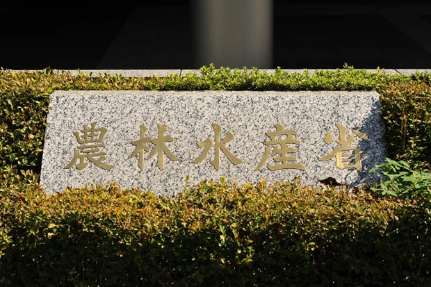 「種苗法」例外措置撤廃でタネ採りや挿し木が禁止に? 農水省がたくらむ「タネの増殖禁止」の裏側