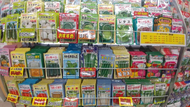 トマトは挿し芽で増やすこともできる。自家増殖禁止は育成者権を守るのが目的だが、逆に育種が進まなくなるとの声も