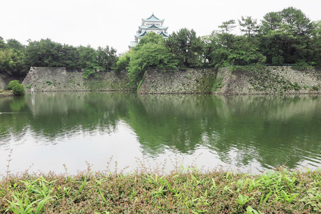 ひび割れなど、無視できないほど劣化が進んでいる名古屋城天守閣の石垣