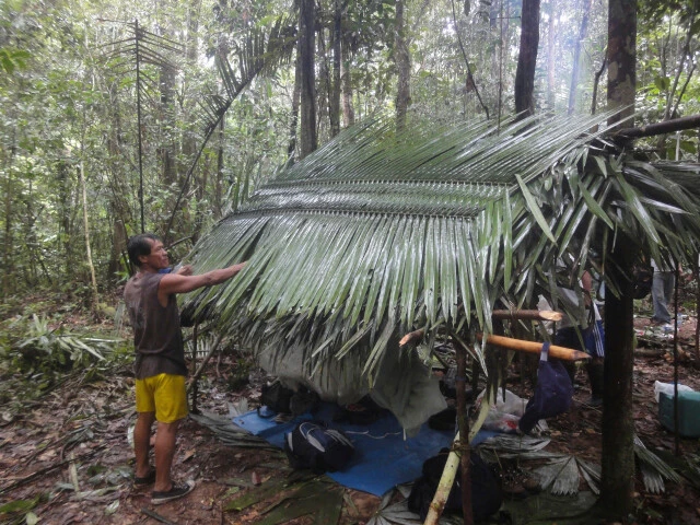 ジャングルでの過ごし方。彼らは1時間くらいで簡単に仮小屋を作ることができる。屋根には椰子の葉を使う。葉のまわりには棘があるが指で編む。遭難した子供たちは似たようなシェルターを作ったのだろう(撮影:山口大志)