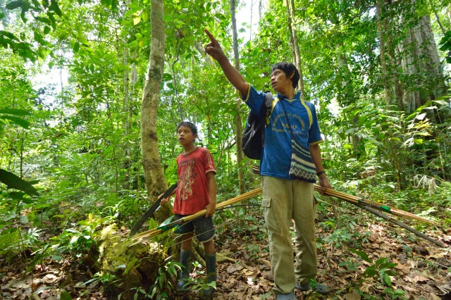 狩りには弓矢を使う。子供は10才。風下から獣の足跡、匂い、音を頼りに風下から接近していく。子供の右手に抱えるのがマチェーテ(山刀)。ジャングル用の大型ナイフだ(撮影:山口大志)