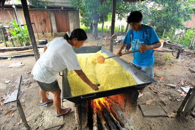 ファリーニャ(キャッサバという芋のデンプン)を作る村人。これは焚き火で炒っているところ。アマゾン川の流域ではよく見られる光景(撮影:山口大志)