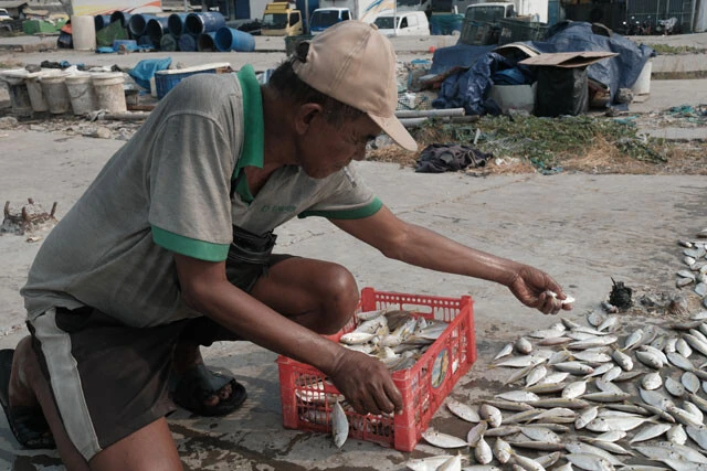 ジャカルタ北部の小さな漁村で小魚を売って暮らすアミルさん