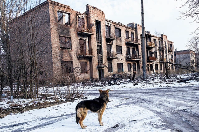 チャシフ・ヤルの街中の廃墟と化した集合住宅と、飼い主のいなくなった犬