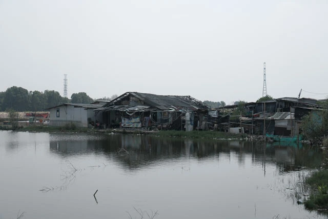 ジャカルタ北部の湿地帯のすぐそばにある民家。今にも海に沈んでしまいそうだ