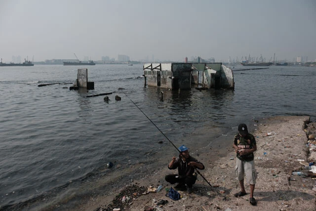 ジャカルタ北部・ムアラバル地区。水没したモスクのそばで、貝を採ったり、魚を釣ったりしている人々