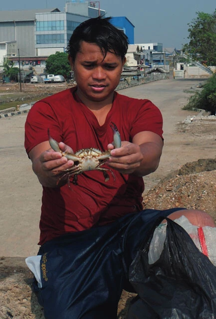 ムアラバル地区の住民の中には、水没したモスク周辺の海域で魚介類を捕って生活をしている人も