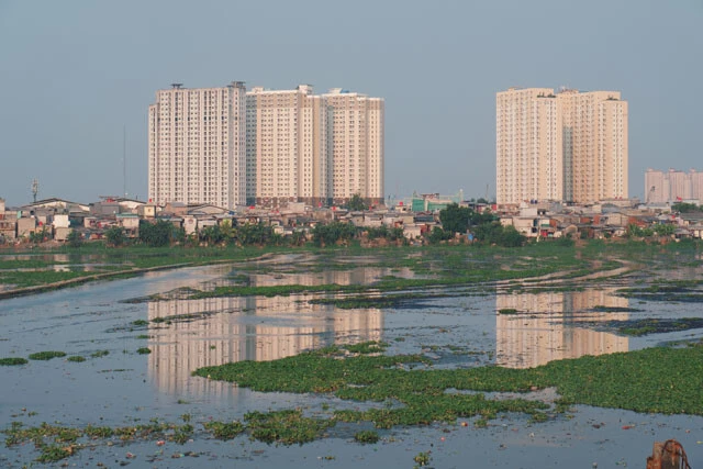北ジャカルタ西側にあるプルイット地区には住居エリア前に湿地帯が広がっている