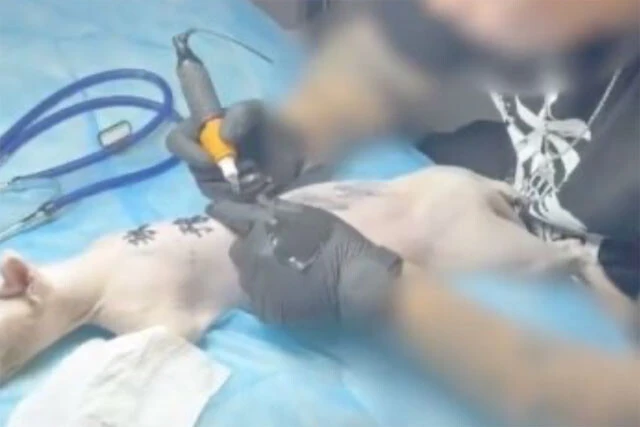 空前のペットブームに沸く中国で「動物虐待」が相次ぐ事情