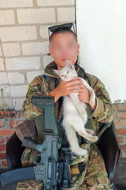 ロシア領クルスクで戦ったRHさんが現地で滞在していたセーフハウスにて。兵士がいる場所には飼い主とはぐれた多くの猫や犬がいる