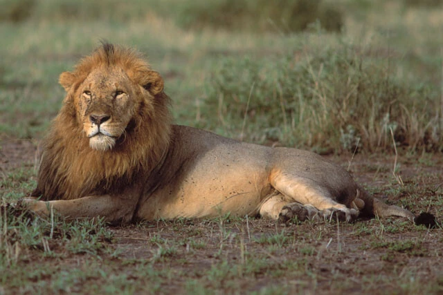 【#佐藤優のシン世界地図探索153】壮絶なトランプの「怒りの作戦」。イラン空爆から始まったジャングルの掟