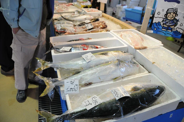 漁業の現場にも影響は甚大。船舶の燃料高騰はもちろんのこと、魚を一時的に保管する発泡スチロールなどの不足も懸念されている