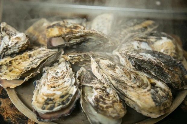 高級殻つき牡蠣が、このように焼き放題、食べ放題! お値段3180~3380円は安すぎ?