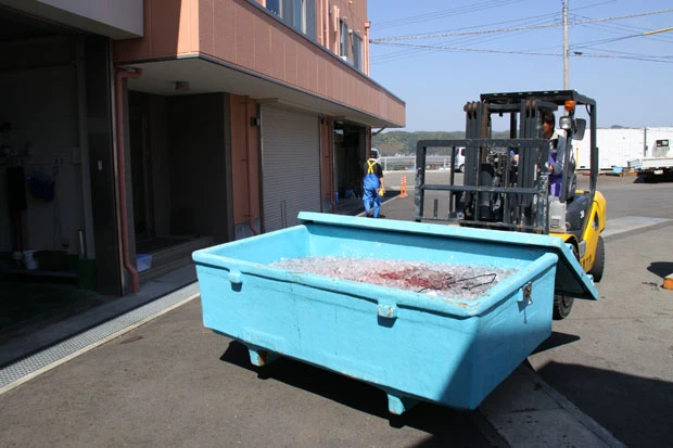 氷づけにされたまま、冷蔵室に運ばれる