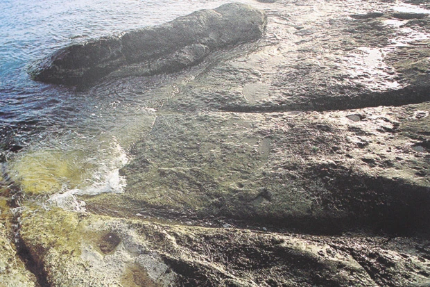 約３ｍ幅に規格統一されたレール跡の多くが海底へ延びている。これも今の海面が地盤沈下した証拠のひとつ