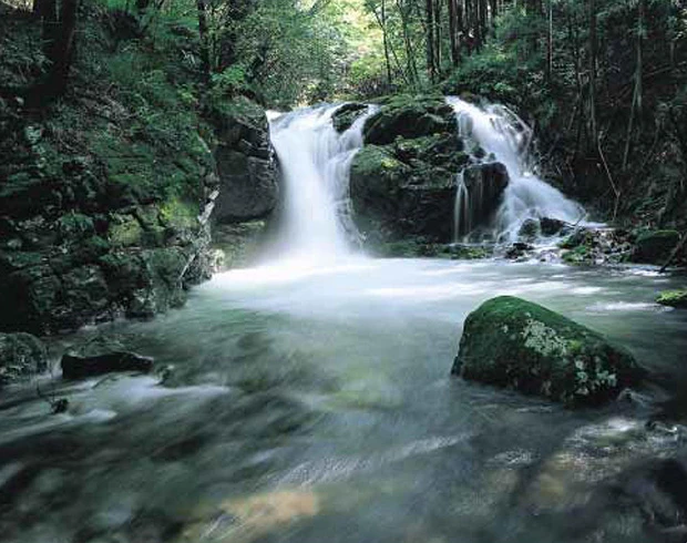 10年前の2004年、棚の入沢の水量は豊富だった。だがリニアのトンネル工事が始まると…