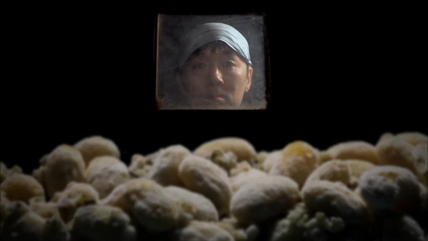 「澤井醤油本店」の5代目主人が、麹の成長を見守る (c)プロダクション・エイシア/NHK