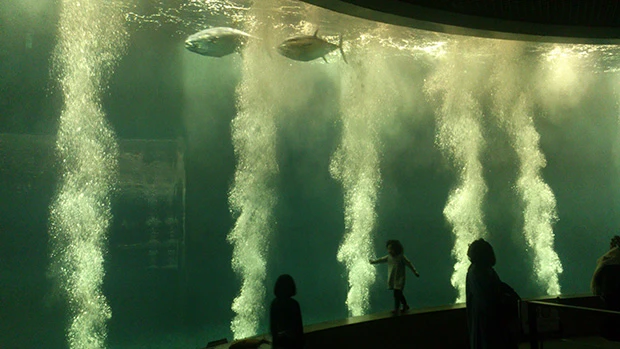 二匹で寄り添っている姿も微笑ましかったが…