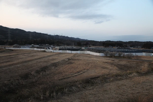 もうじき避難指示区域が解除される南相馬市小高区では、巨大な仮置き場が畑の中に広がる。これでは住民が戻っても農作物は作れない
