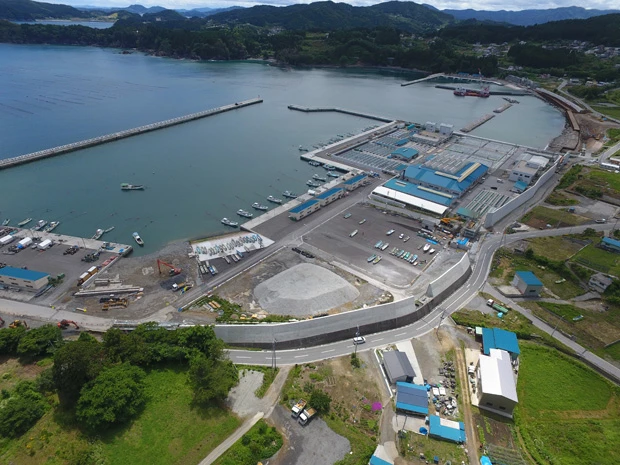  岩手県大船渡市の門の浜漁港近くには東日本大震災で約２０ｍの津波が押し寄せた。２８億円をかけた新しい防潮堤の高さは１２ .８ｍ。震災前の８.５ｍから高さが増したが、陸側は住宅の建築制限がかかる区域。いったい誰を守ろうとしているのか？