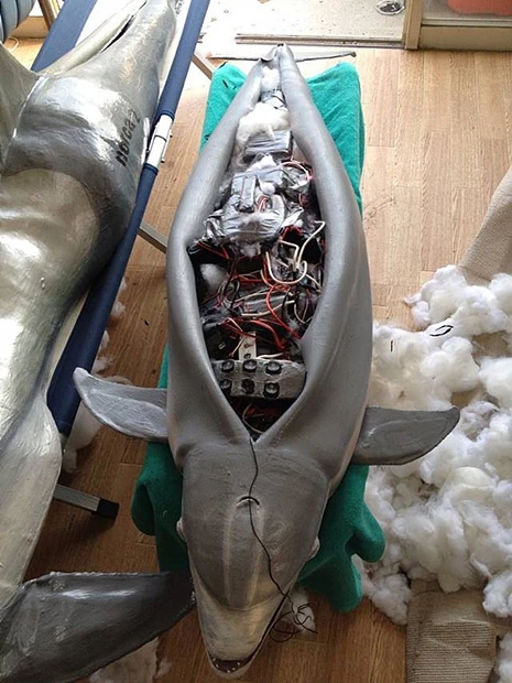 林さんの海洋生物ロボの特徴は「滑らかさ」。柔らかな素材、弱いモーターを使って生き物の動きを再現している