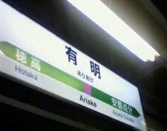 松本から北へ30分。長野県安曇野市にある有明駅。国際展示場が造れそうなスペースはあるが、今は田んぼ