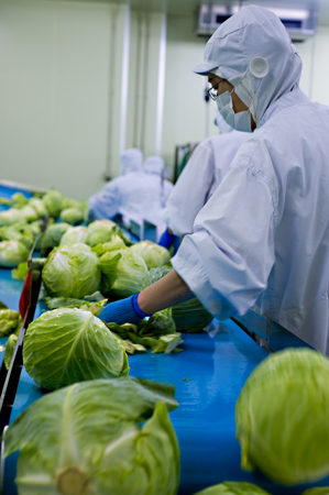 日々、大量の食材や部品が扱われる製造現場。虫一匹、髪一本の混入が大規模リコールの引き金となる…