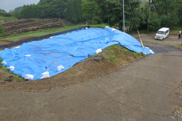 ブルーシートがかけられているが、田んぼの中にも亀裂が